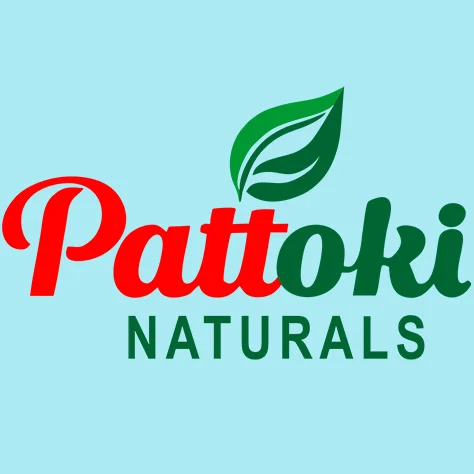 Pattoki Naturals Logo